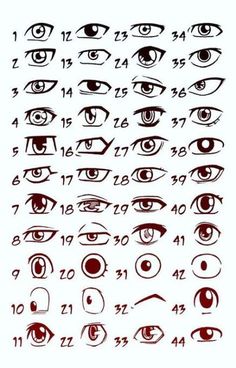 an eye chart showing the various types of eyes and how they are used to draw them