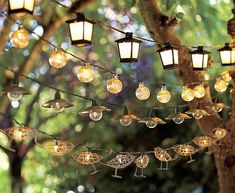 some lights are hanging from a tree outside