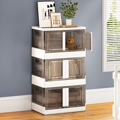 a teddy bear is sitting on top of a shelf in a room with blue walls