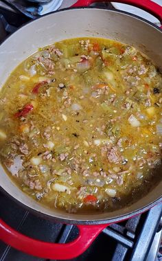 Lighter Meals, Green Chili Stew, Stew Easy, Crockpot Mexican, Chili Stew, Green Chile Stew, Sausage Ragu, Green Chili Sauce, Green Chili Recipes