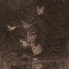 a group of birds flying over a body of water