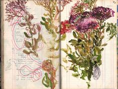 an open book with flowers and writing on the pages is shown in red, green, purple and blue colors