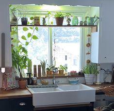 a kitchen filled with lots of potted plants next to a white sink and window