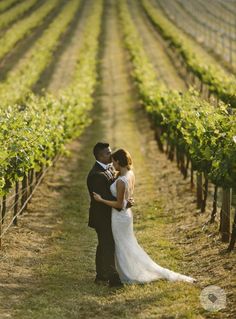 a bride and groom standing in the middle of a vineyard