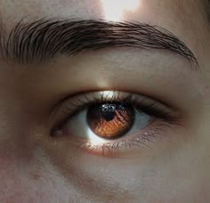 Image about eyes in Hufflepuff aesthetics🌼 by jane_sobol Brown Eyes Aesthetic, Hawke Dragon Age, Beautiful Eyes Color, Brown Eye, Brown Eyed Girls, Eye Photography, Aesthetic Eyes, Jolie Photo, Eye Art