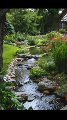 Natural Stream Landscaping, 9b Landscaping, Stream In Garden, Pond In Backyard, Backyard Streams, Tiny Pond, Future Landscape, Backyard Stream