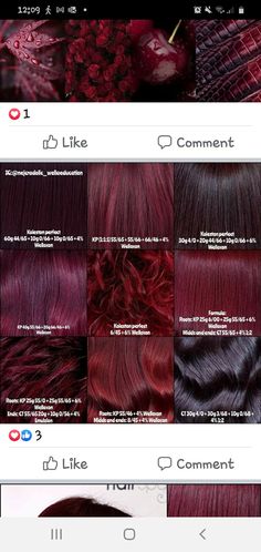 Red Hair Color Names, Red Hair Toner Formula, Rusk Hair Color Formulas Red, Raspberry Brunette Hair, Raspberry Hair Color Formula, Burgundy Color Formulas, Violet Red Hair Color Formula, Chroma Garnet Hair Color Loreal