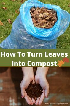 someone holding their hands in the air over a bag full of leaves and dirt with text that reads how to turn leaves into compost