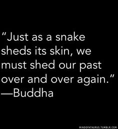 a black and white photo with the quote just as snake sheds its skin, we must shed our past over and over again