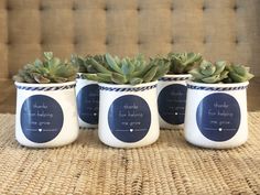 three ceramic mugs with succulent plants in them on a wicker table