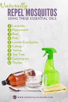 Essential Oils To Repel Mosquitos, Essential Oil Bug Spray Recipe, Homeopathic Recipes, Repellent Diy, Mosquito Repellent Homemade, Repel Mosquitos