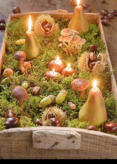 some candles are sitting in a wooden box with moss and acorns on it