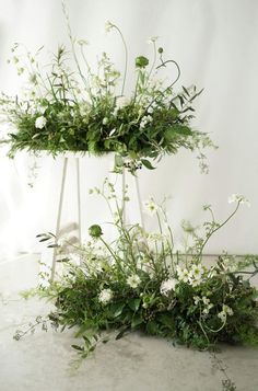 some white flowers and greenery are on display