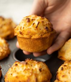 a person holding a muffin in a muffin tin with other muffins