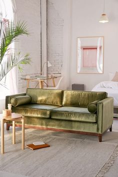 a living room filled with furniture and a large plant in the middle of the room