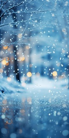 snow falling on the ground and trees with lights in the background