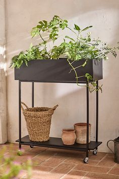 a shelf with plants and baskets on it