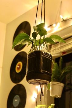 a plant hanging from a ceiling with vinyl records on the wall in the back ground