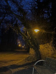 a park bench sitting next to a tree at night with street lights in the background