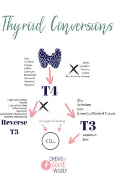 Nutrient deficiencies: the production of thyroid hormones, communication from the brain to the thyroid, conversion of inactive to active thyroid hormones, and the utilization of thyroid hormones into the cells is highly nutrient dependent. Micronutrients like sodium, potassium, magnesium, calcium, iodine, selenium, zinc, inositol, glutathione, and other nutrients are needed for this to function. Demand increases during times of stress, inflammation, healing, injury, exercise, and growth. Hypothalamus And Pituitary Gland, Big Stove, Thyroid Exercise, Thyroid Remedies, Thyroid Healing, Thyroid Support, Hashimotos Disease, Thyroid Medication, Pituitary Gland