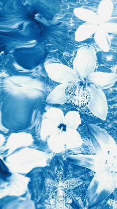 blue and white flowers are floating in the water