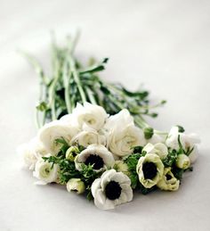 some white flowers are laying on the ground