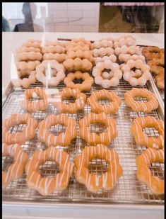 several rows of glazed donuts on cooling racks