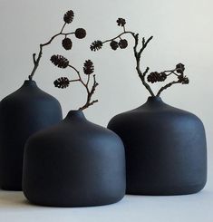 three black vases sitting next to each other on a white surface with small branches in them