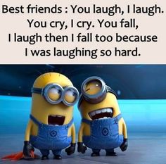 two minion characters with the caption saying best friends you laugh, i laugh