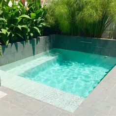 an empty swimming pool surrounded by greenery