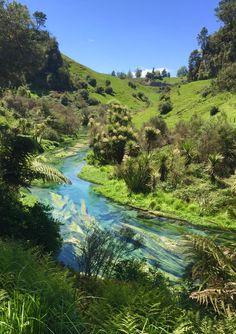 a river running through a lush green hillside