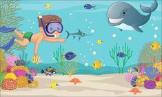 a boy swimming in the ocean surrounded by fish and other marine life, with a dolphin