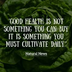 Natural Healing Quotes, Healthy Motivation Quotes, Healthy Food Quotes, Create Healthy Habits, Newsletter Ideas, Habit Quotes, Nutrition Quotes, Healthy Quotes, Lifestyle Quotes