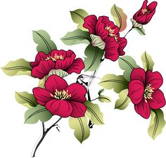 three red flowers with green leaves on a white background