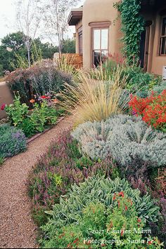 a garden with various plants and flowers in front of a house