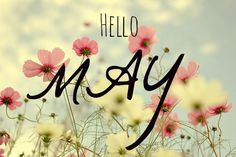 the words hello moly written in black ink on a field of pink and white flowers