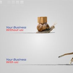 a snail with a cardboard box on its back and the words your business without us