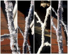 four different pictures of snow covered branches