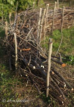 a pile of branches sitting in the grass