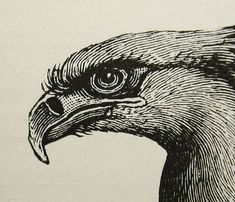 an eagle's head is shown in black and white ink on a piece of paper