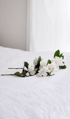 some white flowers laying on top of a bed