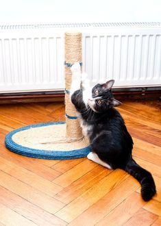 a black and white cat is playing with a scratching post on the floor in front of a radiator