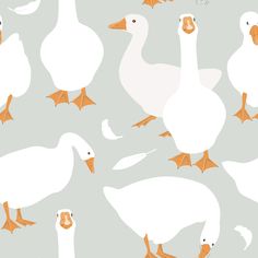 a group of white ducks standing next to each other on a gray background with orange beaks