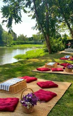 some red pillows are laying on the grass near water and trees with flowers in baskets