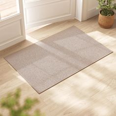 a rug on the floor in front of a potted plant next to a door