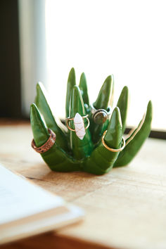 a small green plant sitting on top of a wooden table