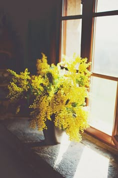 a vase with yellow flowers sitting on a window sill