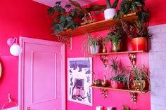 a bathroom with pink walls and plants on the shelves above the sink, along with other decorations