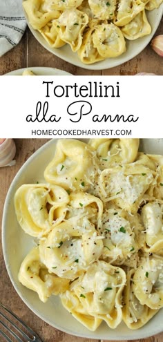 Plate of tortellini alla panna. Cheese Tortellini Mushroom Recipes, Veal Tortellini Recipes, 5 Ingredient Tortellini, Tortellini Olive Oil Sauce, Tortellini For One, Olive Oil Tortellini, Tortellini Pasta Sauce Easy Recipes, Cheese Tortellini Recipes Olive Oil, Easy Recipes With Cheese Tortellini