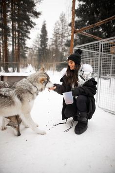 a woman kneeling down next to a wolf in the snow